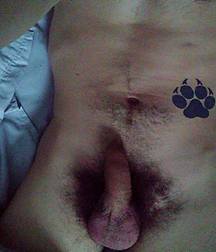 Blackypaws pic