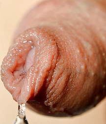 Penis POV 001 5db9fba4d4730.jpg