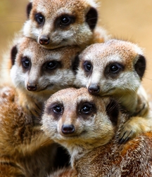 FUN STUFF 594992b99b0a3.jpg