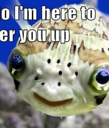 FUN STUFF 594992dc79e7a.jpg