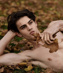 Beauties 2 5c526673aef2a.jpeg