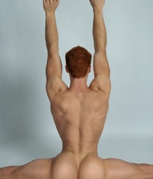 the art of arse2 596ba6c585d9f.jpg