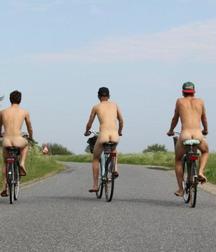 the art of arse2 596ba6ca0b20f.jpg