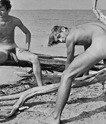 beautiful arses 597de037d4716.jpg