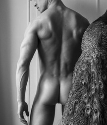 asses for daddy2 599f1885ed3ba.jpg