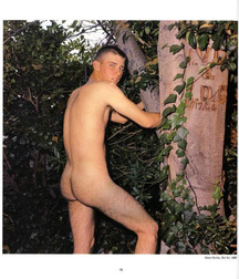 ass 4 daddies1 59ad49baaf382.jpg