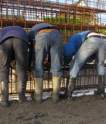 arses fit for dads1 59aff7f4e099b.jpg