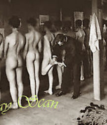 arses fit for dads2 59aff8b0c9d54.jpg