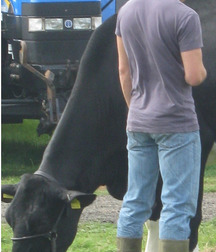 youngass for dad 59c007d236672.jpg