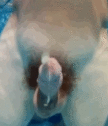 Skinny Dipping 5d9383f992117.gif