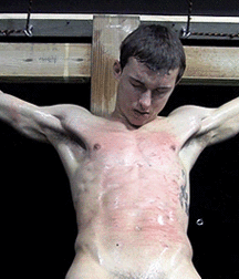 Just Hanging Around 5dc9a68d91b95.gif
