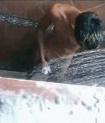 Shower Time, Boys 5df7ee1344e6c.gif