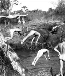 Naked in the Water Boys Porn 5f62606eafe4c.jpg