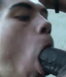 Gay Tube Web Finds Twinks Porn 5 5f71e74509c16.gif