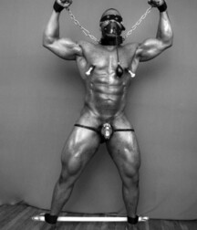 Muscle Guys Gay Tube Strong 5fb1c407edab3.jpeg