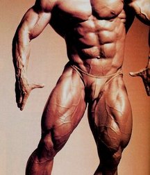 Muscle Boys (1) 59b4c27498c0f.jpg