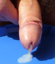 Cumshots 4 59ba9e7919945.jpg