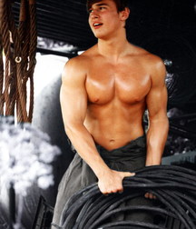 Muscle Boys 9 59cc67537f6d4.jpg
