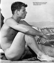 Tim's Hotties 56 59d3030abbd0f.jpg