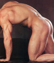 Muscle Boys 12 59d59e9b413ad.jpg