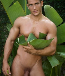 Tim's Hotties 62 59d6f7fbb54a9.jpg