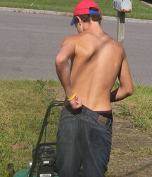 Mower Boy 5eda73a4bfd69.jpg