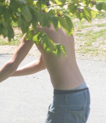 Mower Boy 5eda73d609372.jpg