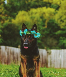 Sagger Boys Galore 5edbcd034b61a.jpg