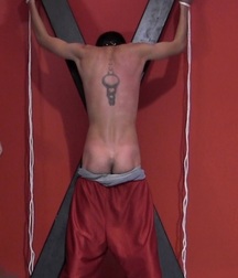 Back's and Ass' Gay Tube 5ff146a582759.jpg