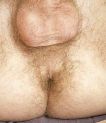 Aussie Teen Corey Gay Porn 61ac103bec82a.jpeg