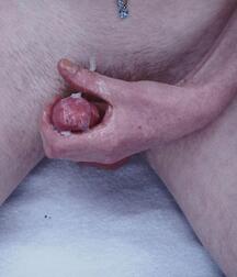 Aussie Jackson Returns Gay Porn 61b08c3aaca85.jpg
