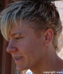 Aussie Sebastian Solo 61cc1b88bb056.jpg