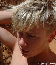 Aussie Sebastian Solo 61cc1ba51f526.jpg