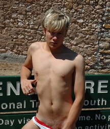 Aussie Sebastian Solo 61cc1bdca6b0c.jpg