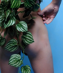 TBW Petr                                               5b54a836d6581.jpg