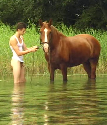 SUMMER BOYS LIKE SHOW DICK 597f4c5513b1e.png