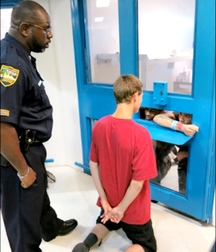 JAIL BOYS 5990c56f8b47a.jpg