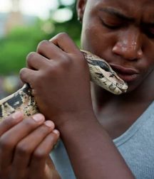 REPTILIAN BOYS 599ded0a994fe.jpg