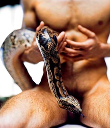 REPTILIAN BOYS 599ded132c2a7.jpg