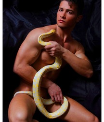 REPTILIAN BOYS 599ded16c5f04.jpg