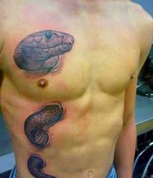 REPTILIAN BOYS 599ded198c7ca.jpg