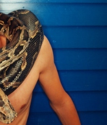 REPTILIAN BOYS 599ded2aa5a72.jpg