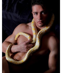REPTILIAN BOYS 599ded5c7687d.jpg