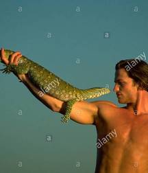 REPTILIAN BOYS 599dedae73138.jpg