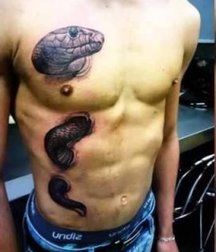REPTILIAN BOYS 599dedd7443f4.jpg