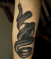 REPTILIAN BOYS 599dede74b7d3.jpg