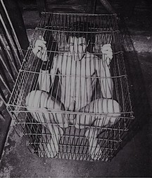 PRISON BOYS 59a070472ffb9.jpg