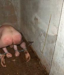 JAIL BOYS 59ae8f4f75f73.jpg