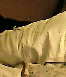 ( Web-Cam ) Socks and Feets, Funny Blond Boy Straight 5994f341e3f80.jpg