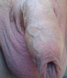 More nice cocks 59b9111d22b11.jpg